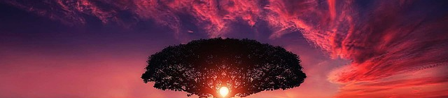Banner 3