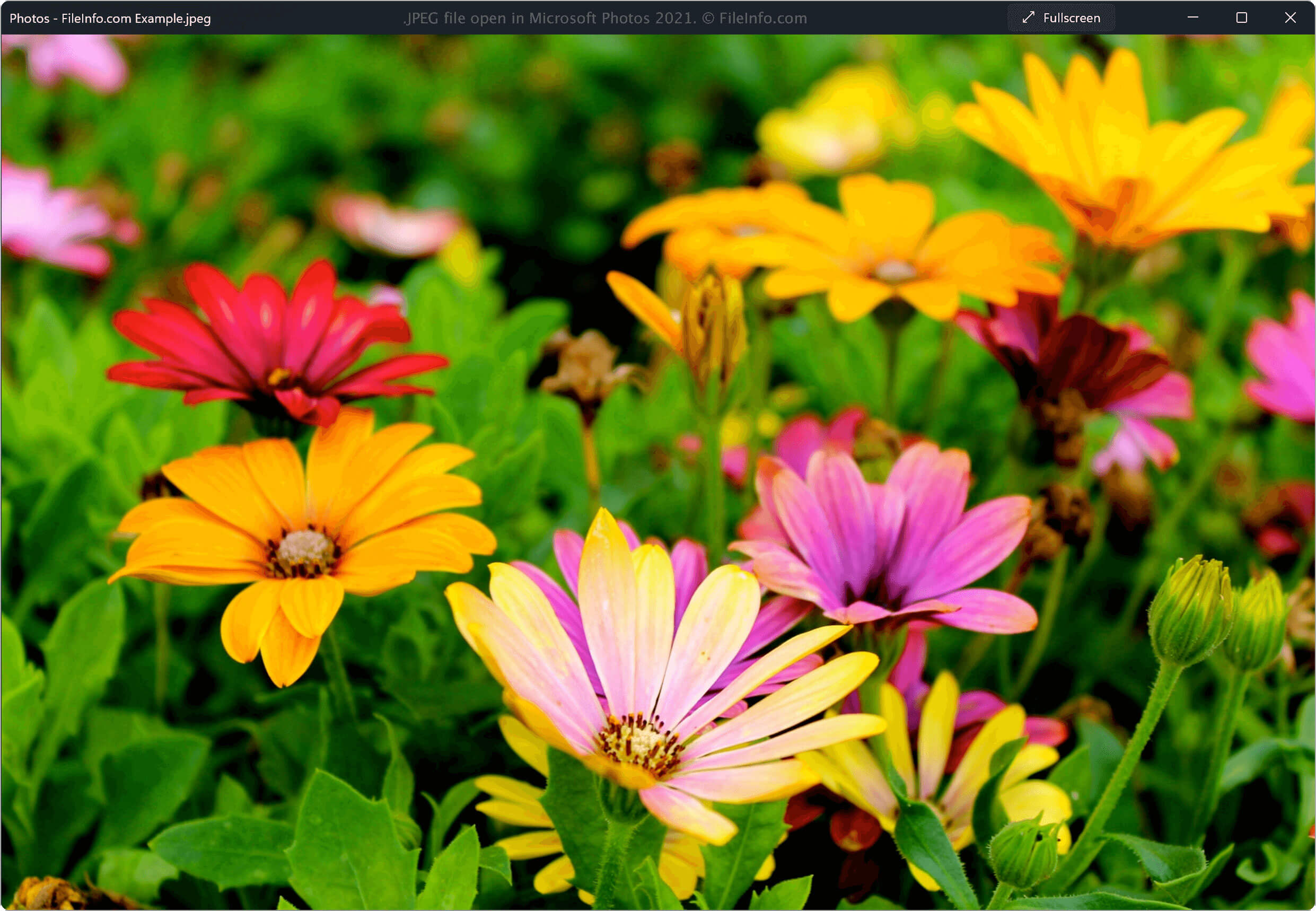 test1