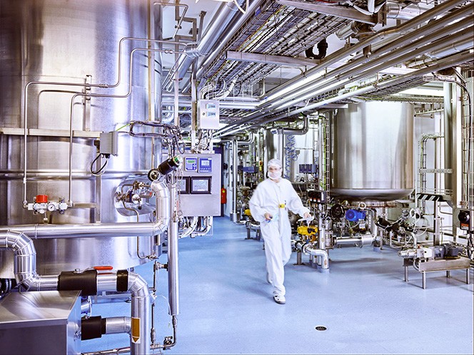 factory_image_1