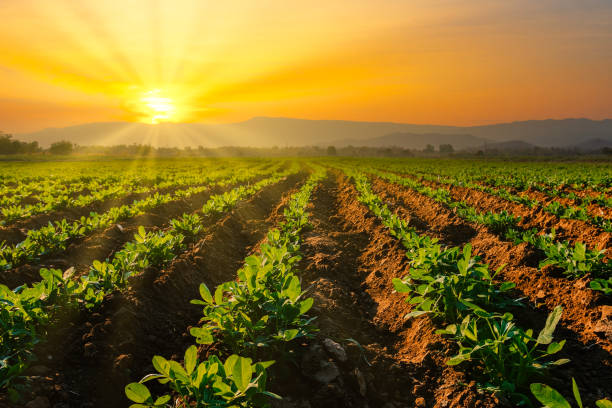 Organics Agri
