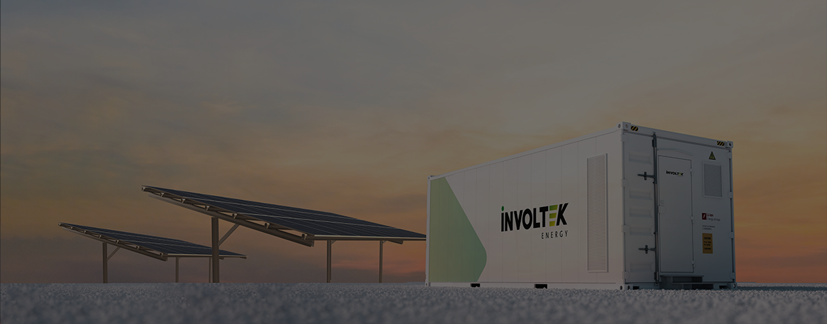 Lithium Iron Phosphate (LiFePO4) Battery