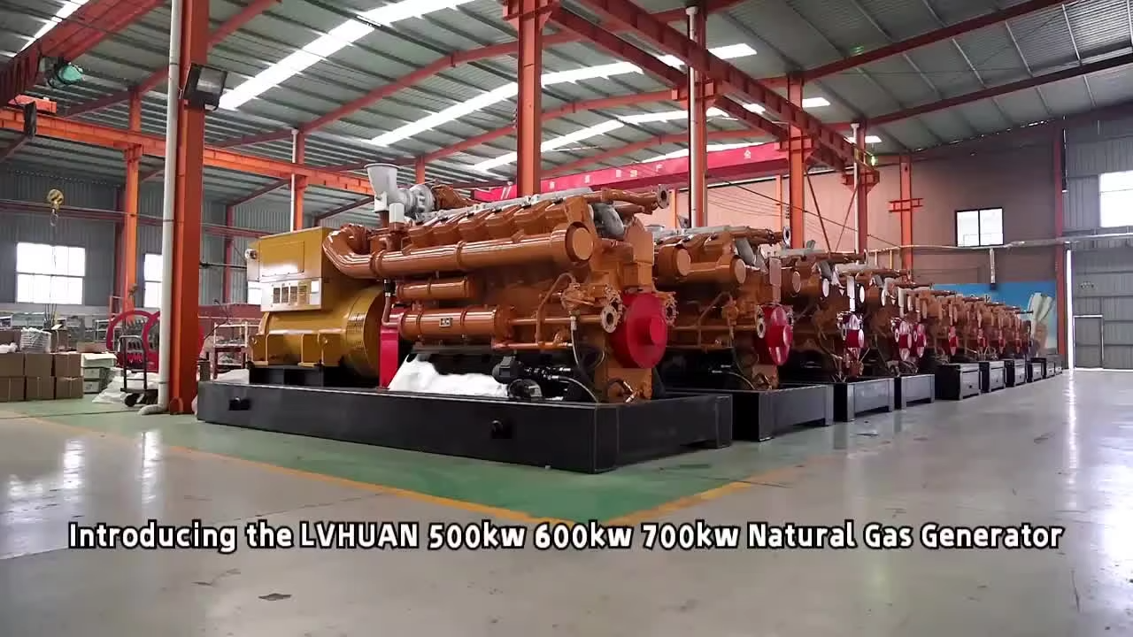 Biomass Gasification Electricity Generator Type and Plant Type 10mw power plant