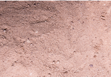 SAND